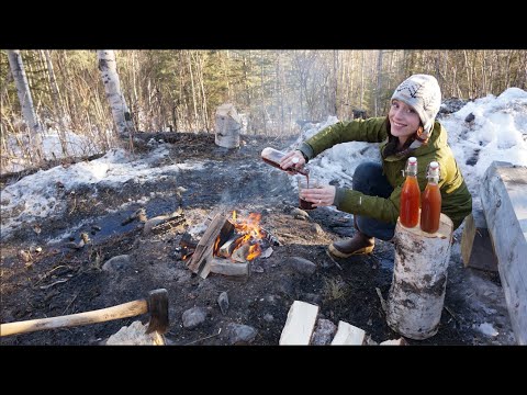 Wildcrafted in Alaska: Blueberry Soda & Salmon Sourdough Pizza | Off Grid Homestead Kitchen Ep.5