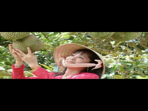 Thể hiện bởi Hương Lan