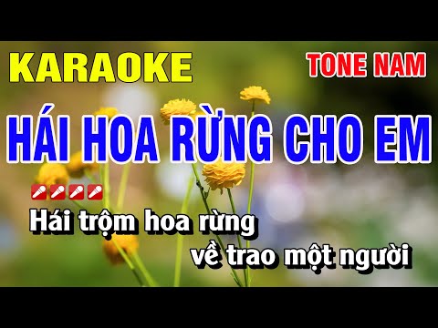 Karaoke Hái Hoa Rừng Cho Em Tone Nam Nhạc Sống | Nguyễn Linh