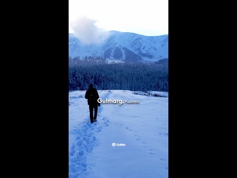 Winter Wonderland: Heavenly Snowfall in Gulmarg, Kashmir
