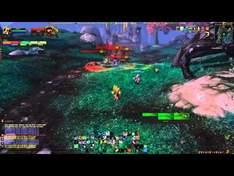 World of Warcraft - Heroic Dungeon Guide - Siege of Niuzao Temple