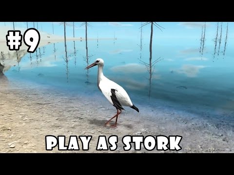 Ultimate Bird Simulator (by Gluten Free Games) Android Gameplay Part 9 [HD] - YouTube