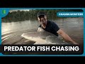 Jungle Fish Thrills Chasing Monsters Fishing Show