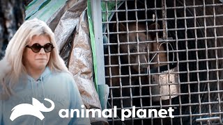 Thumbnail del capítulo