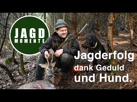 Jagderfolg dank Geduld und Hund | JagdMomente mit Felix | Webserie #7