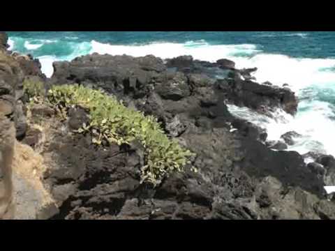 Reisereportage über La Reunion (Teil 1)