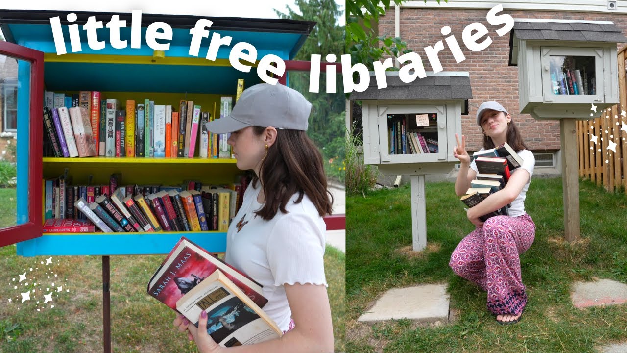 unhauling my books into little free library boxes (and maybe hauling some too)