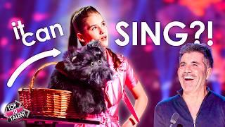 These Puppets Took Over The Audition!