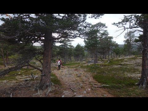Lappland 2019 - Teil 1, Finnland und Norwegen
