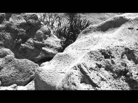 Last of songs