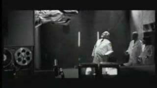 moenia lado animal + o