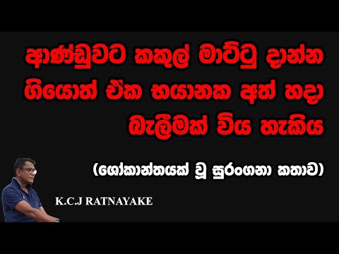 ආණ්ඩුවට කකුල් මාට්ටු දාන්න ගියොත් ඒක භයානක අත් හදා බැලීමක් විය හැකිය -  KCJ Ratnayake