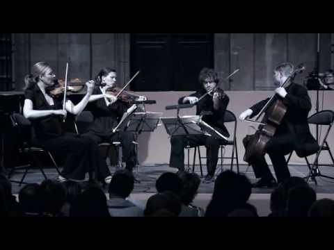 Haydn Quartet Op.77 No.1 (2/4)
