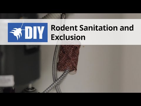  Rat Sanitation and Exclusion Video 