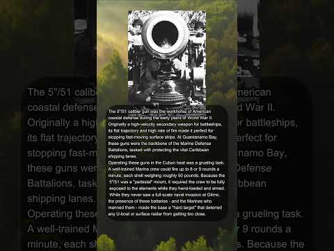 THE 5-INCH GIANTS OF GUANTANAMO BAY ⚓