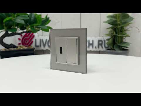 Розетка с двумя USB type-A, блоком питания 5В 2.1А Livolo, 1 пост, цвет серый VL-C792USB-15