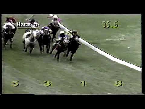 1993 William Reid Stakes  Moonee Valley