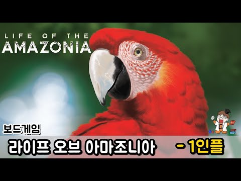 라이프 오브 아마조니아 - 1인플