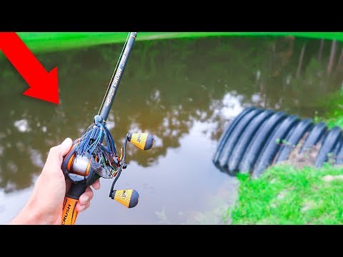 Catching ENORMOUS Bass on BIG JIGS (Bank Fishing) Video