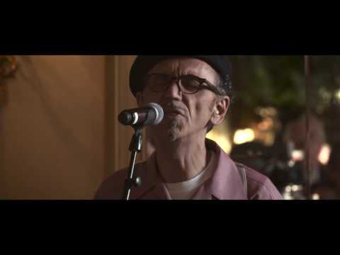 Dexys - Curragh Of Kildare live at the Irish Embassy