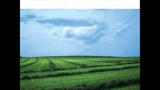 Girls in Hawaii - Bees & Butterflies (unofficial version)