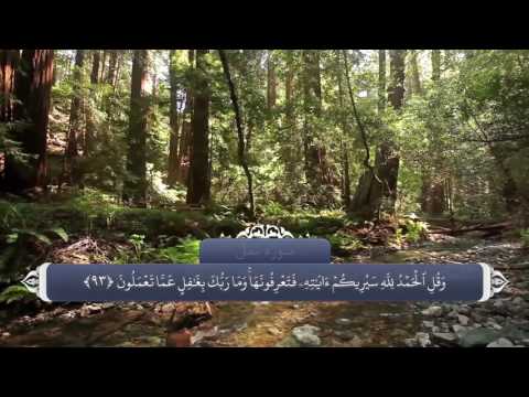 بعثت پیامبر و تأیید رسالتش - آیه 91 تا 93 سوره نمل