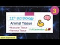 11th Std Biology Animal Tissue Muscular Tissue Nervous Tissue Chapter 10 Class 11 Biology