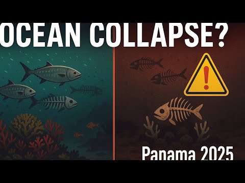 Panama’s Ocean Upwelling Collapsed in 2025 – Here’s Why It Matters