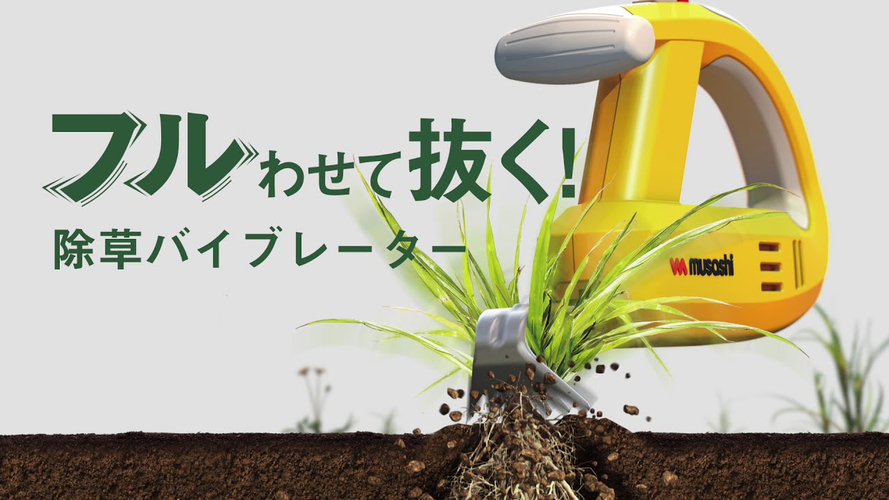 動画を見る