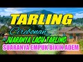 TARLING DANGDUT JAWARA TARLING CIREBONAN Suara Merdu Bass Empuk
