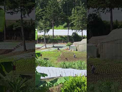 Cantón Los Planes en La Palma, Chalatenango, un Hermoso Lugar de El Salvador.