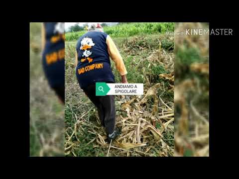 ANDIAMO A SPIGOLARE