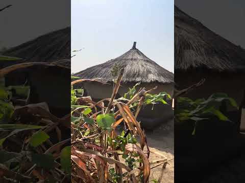 YouTube video preview image