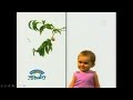 Barney And Friends Funding 2005 2006 Reruns Of Seasons 7 9 Episodes 2