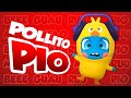 🐣 El Pollito Pio 🐥 Il Pulcino Pio 🐤 Official cover by Baby Moonies
