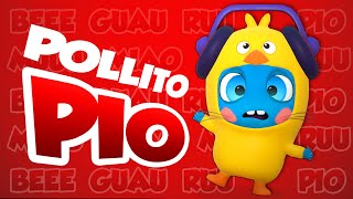 🐣 El Pollito Pio 🐥 Il Pulcino Pio 🐤 Official cover by Baby Moonies