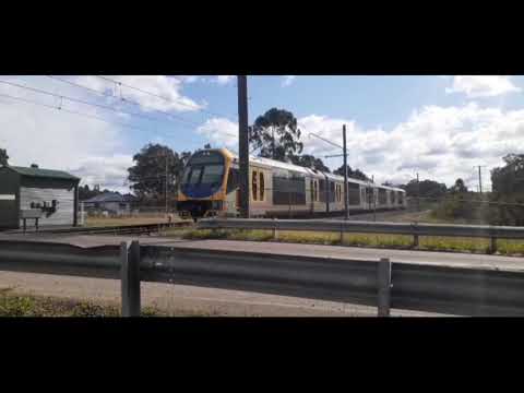 NSW Trainlink/Regionals Warnervale Part 1 Vlog 21