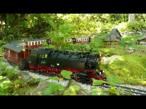 sWälder Bähnle - Zugparade 2020