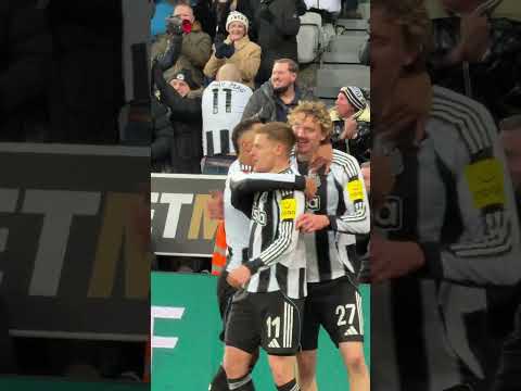 Harvey Barnes's incredible form continues 💎