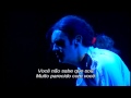 Taboo - Petrified (London) 