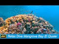 Relax Dive, Mangrove Bay, Marsa Alam (El Qusier) Teil 2