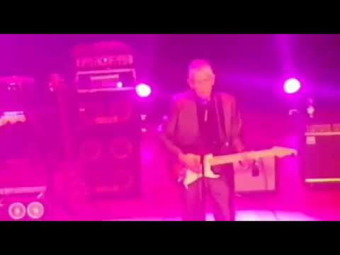 the Tornados, 2018, halfway to paradise