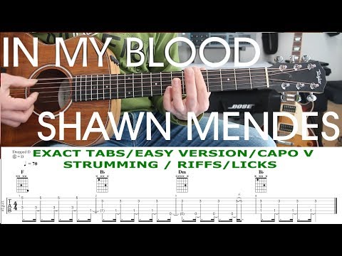 IN MY BLOOD, Shawn Mendes, Guitar Lesson, Tutorial, TAB, Chords, Strumming