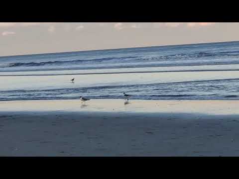 Beach Views  @Atlantic City