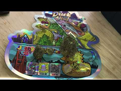 Jelly CO ********DINO DUCK 🦆 *********looking decent 👀