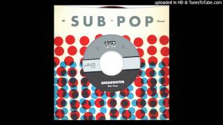 Shearwater - This Year