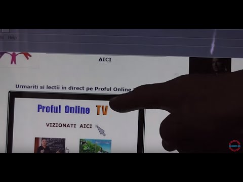 George si Mihai ii invata pe prietenii nostri cum sa-si faca lectiile folosind blogul Proful Online