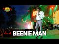 BEENIE MAN KING OF THE DANCEHALL WHEN DANCEHALL MEANT REAL ENERGY SUNPLASH FESTIVAL