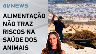 Miniatura do vídeo