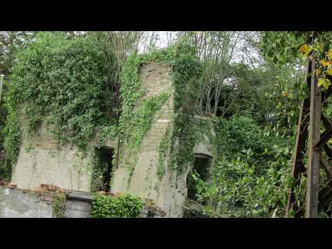 [FREE] skele x nothing,nowhere. x sendflowrs x taylor's diary type beat - reclaimer. (mackk x jolst)